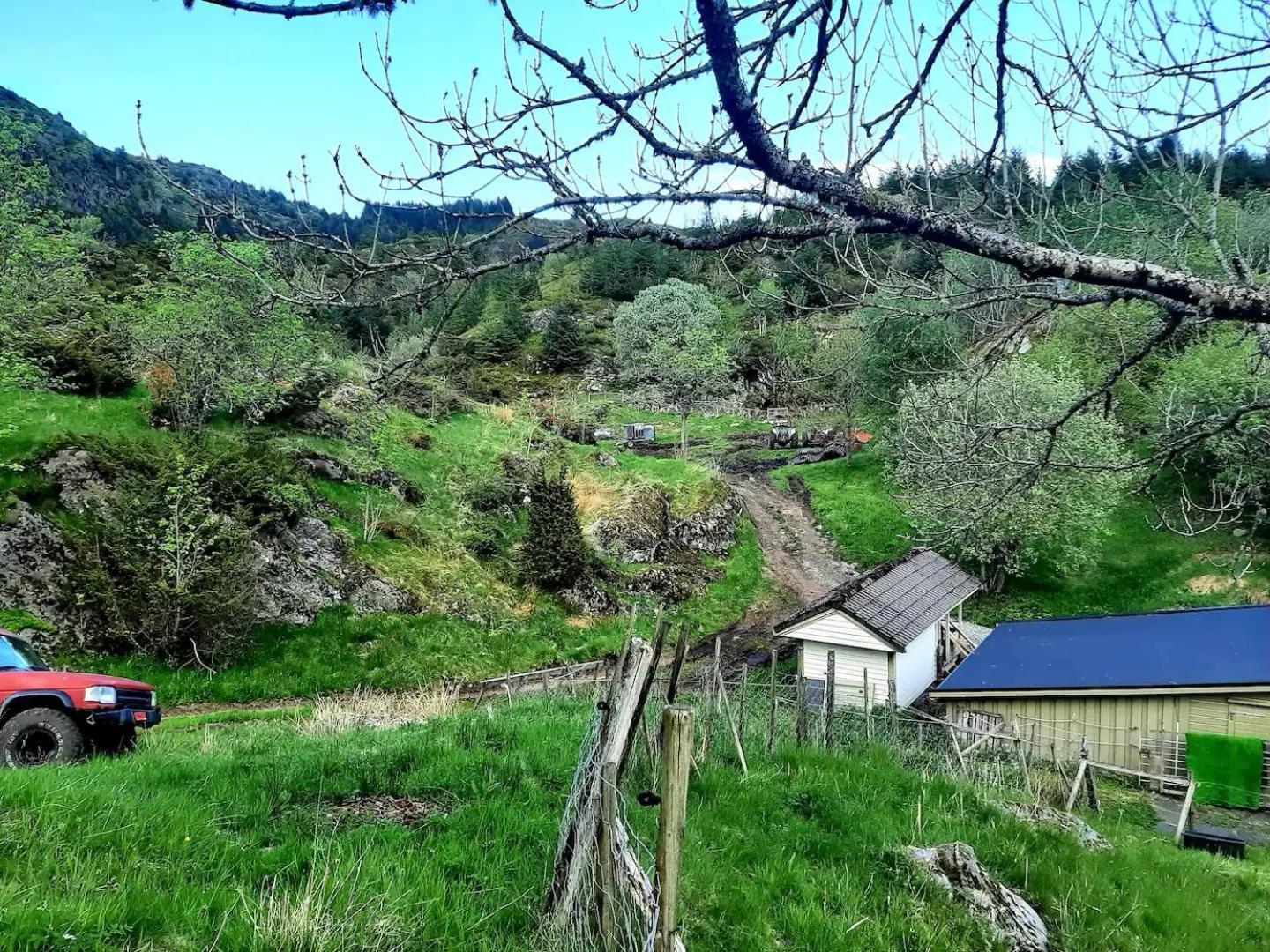 Guesthouse In Manger, Radoy Island Kolstad Dış mekan fotoğraf